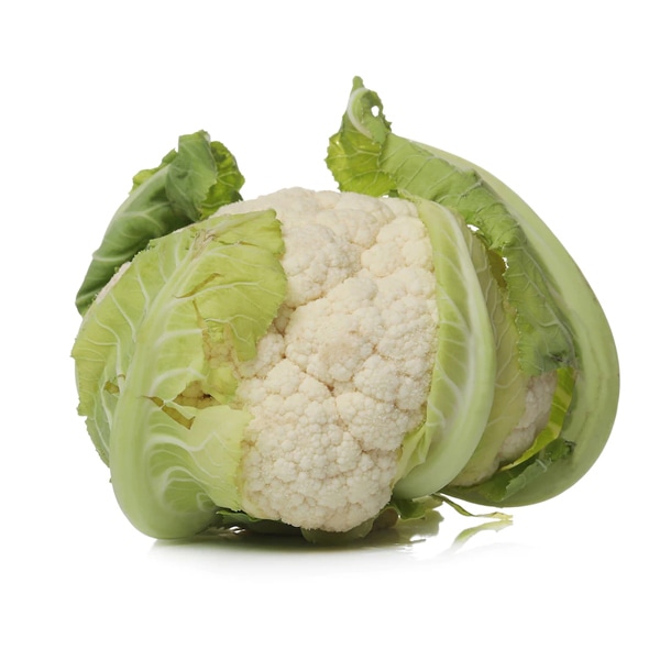 Cauliflower Species Brassica the genus